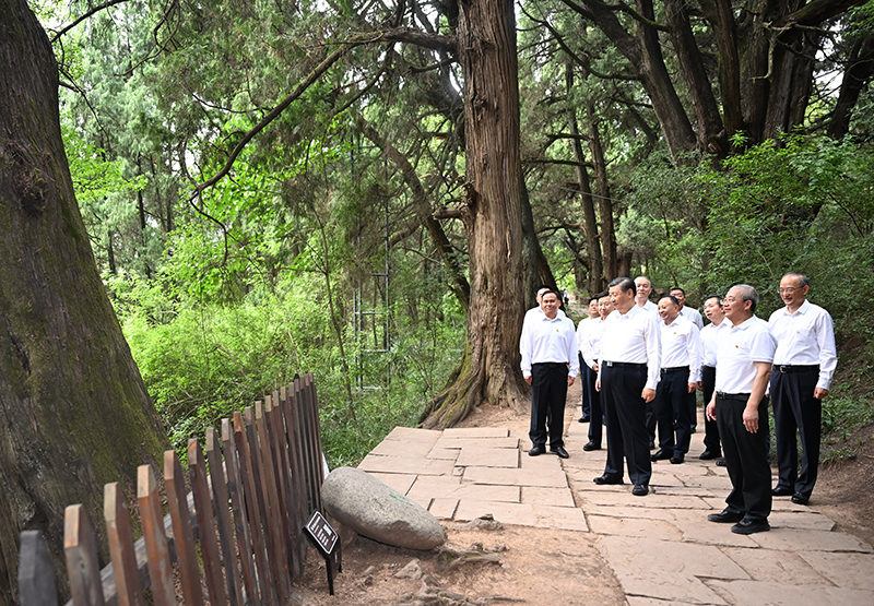 7月25日至27日，中共中央總書(shū)記、國(guó)家主席、中央軍委主席習(xí)近平在四川考察。這是25日下午，習(xí)近平在廣元市劍閣縣翠云廊考察。