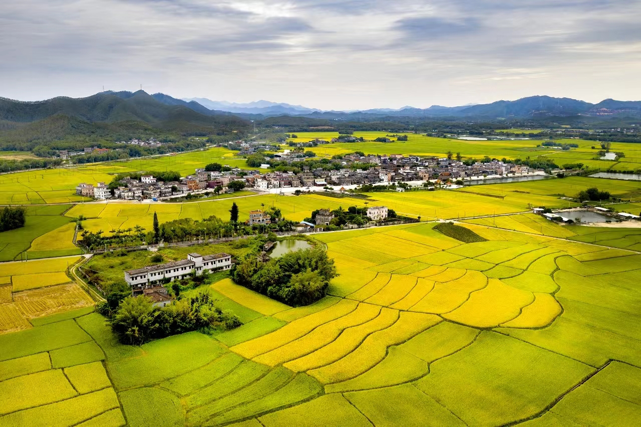 1.開平市赤水鎮沙洲村村容村貌全景圖.jpg