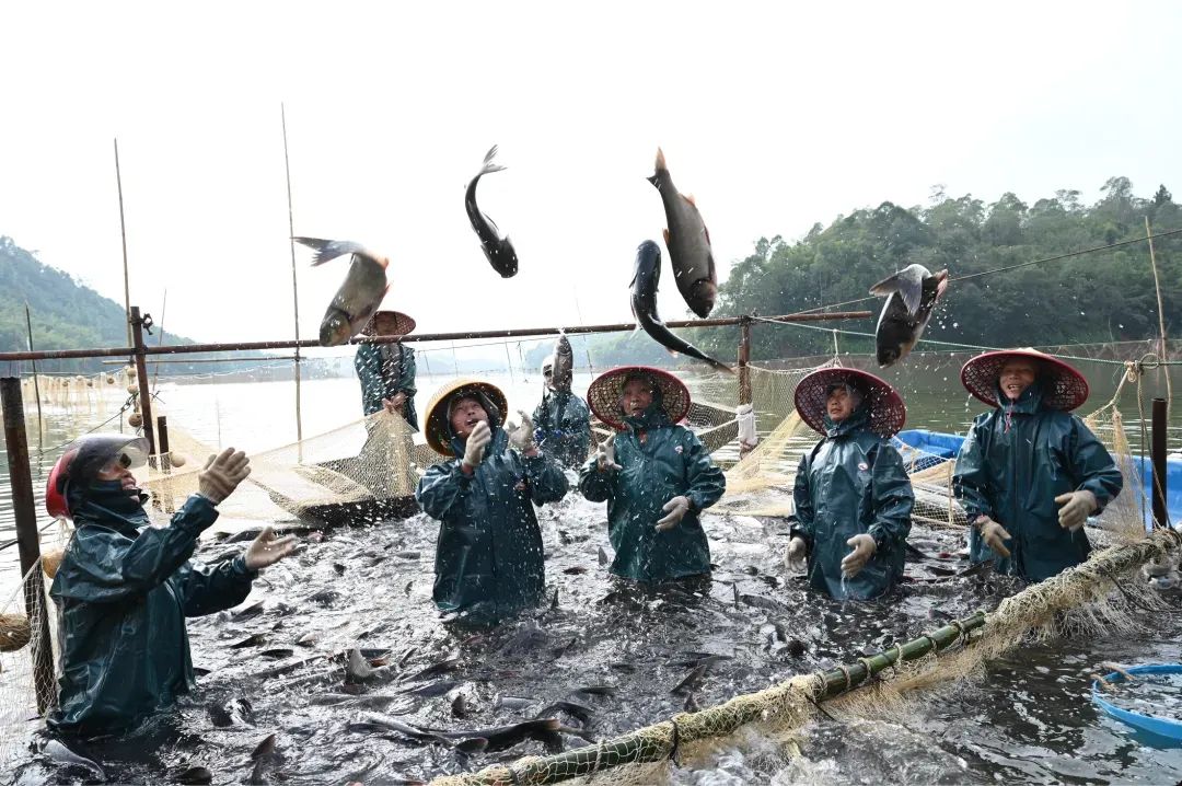 記憶中的水利工程丨大沙河水庫：萬名移民守護(hù)起的水利家園