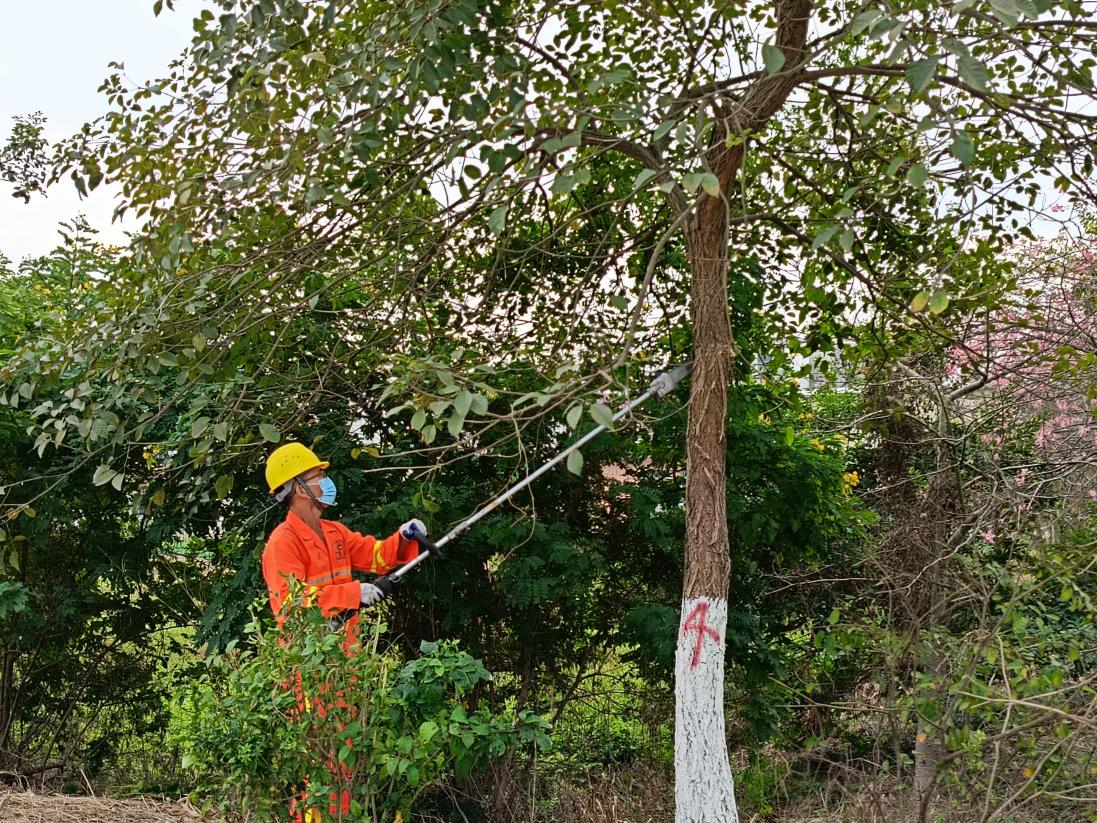 公路信息kp055-精準培訓提技能 以賽促練礪精兵——江門市開平公路事務中心開展2024年綠化養護培訓與養護技能競賽.docx_3